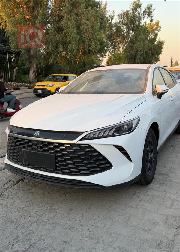 BYD Qin Plus 2025 for sale in Iraq - Baghdad